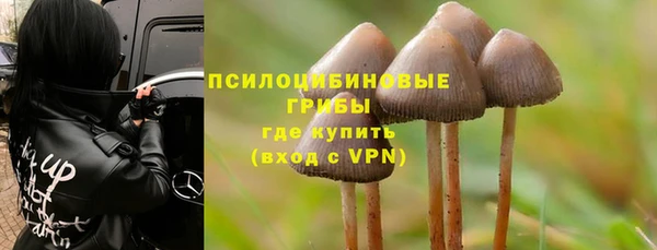 Альфа ПВП Алзамай