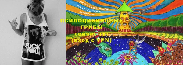 Альфа ПВП Алзамай