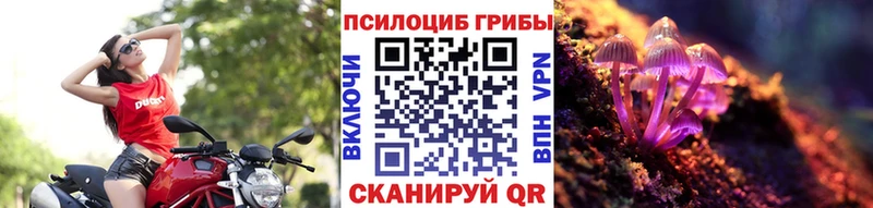 Псилоцибиновые грибы Magic Shrooms  Купить закладки  Волгоград 